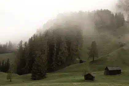 Cabane abandonnée au bord d'un lac brumeux entourée de forêt sombre