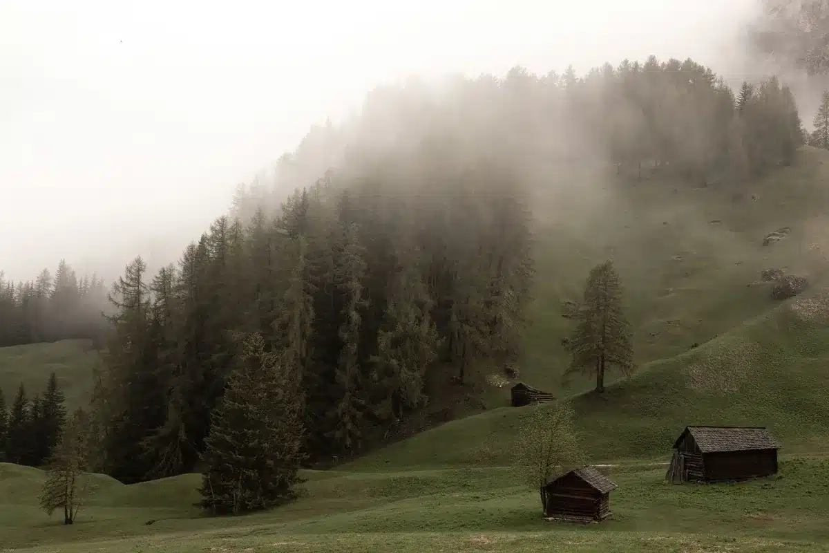 Cabane abandonnée au bord d'un lac brumeux entourée de forêt sombre