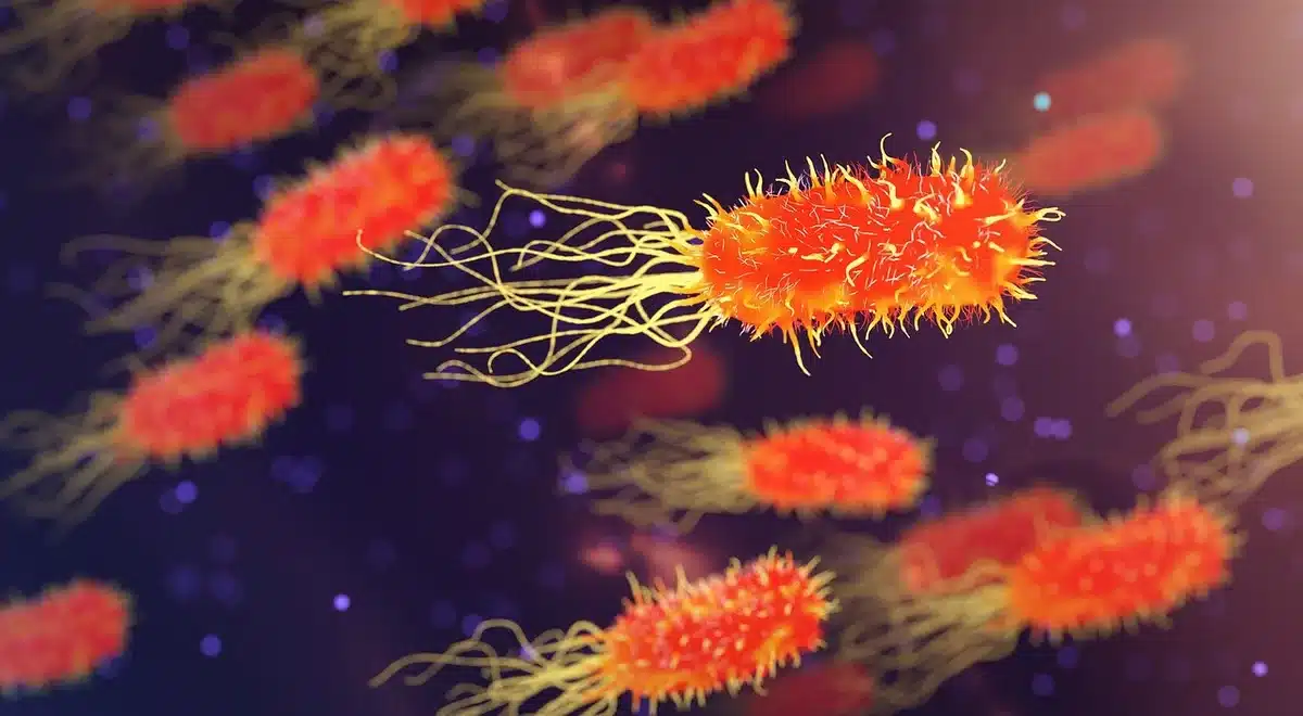 Laboratoire de biosécurité avec équipement de protection et conteneurs de recherche