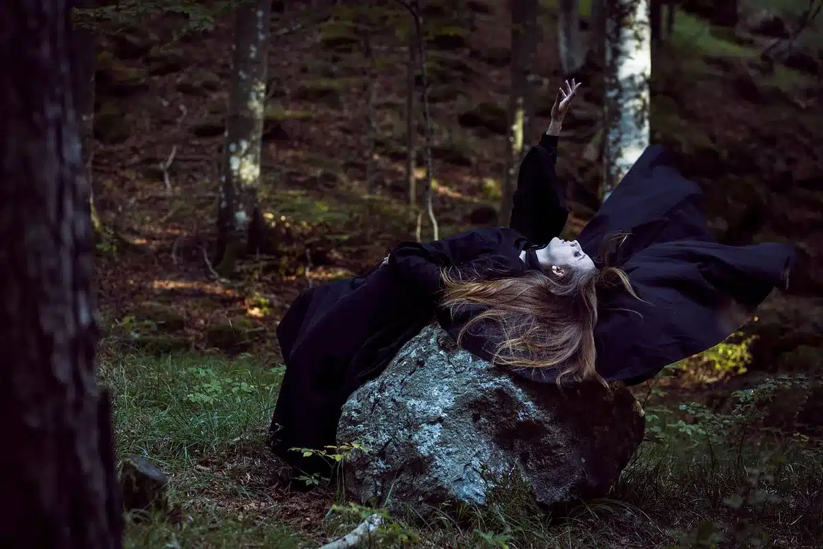Capture d'écran stylisée montrant une forêt hantée de jeu vidéo