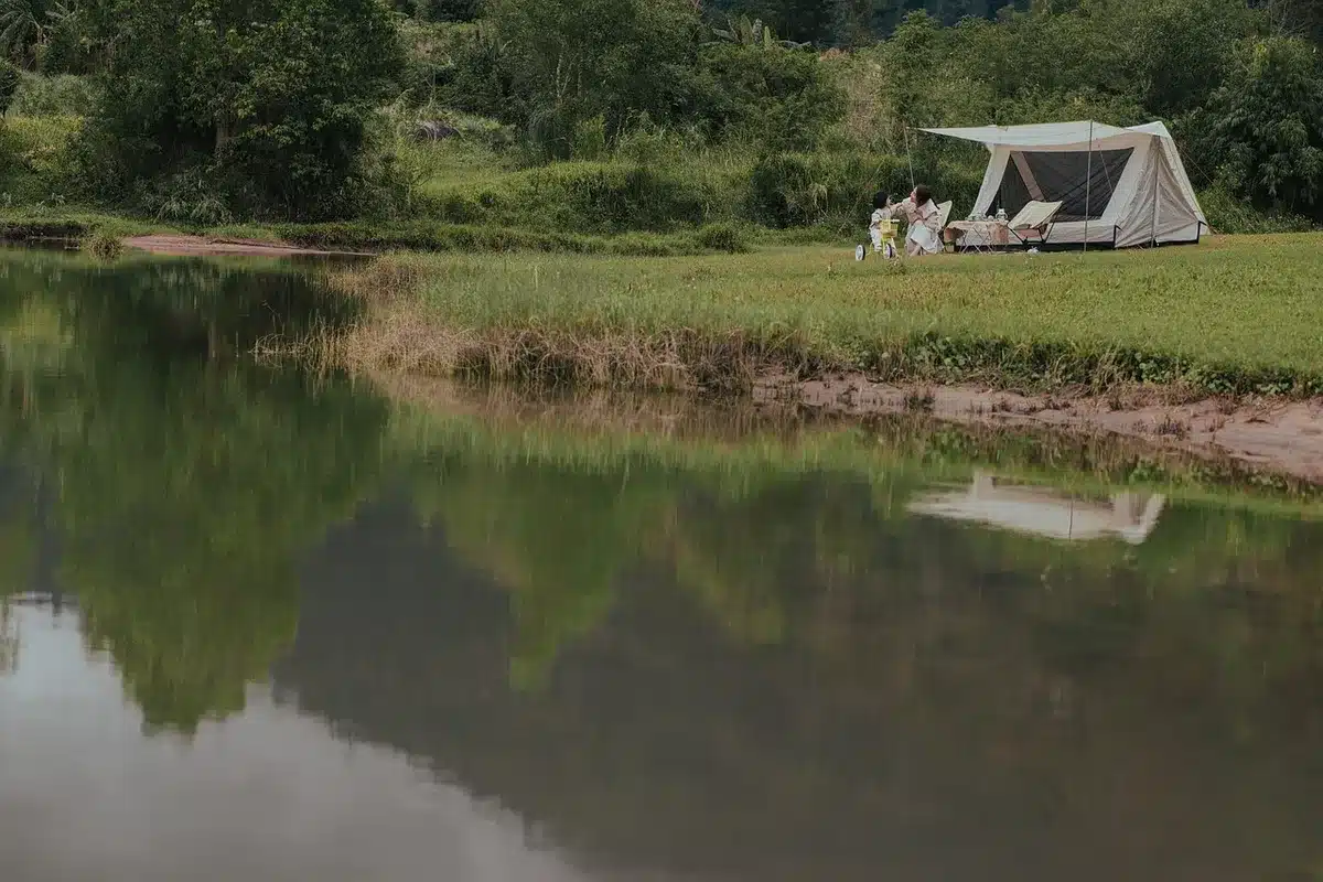 Clairière nocturne avec un campement anonyme et arbres menaçants
