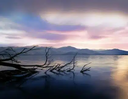 Jetée en bois vide au bord d'un lac, imperméable rouge abandonné et brume matinale